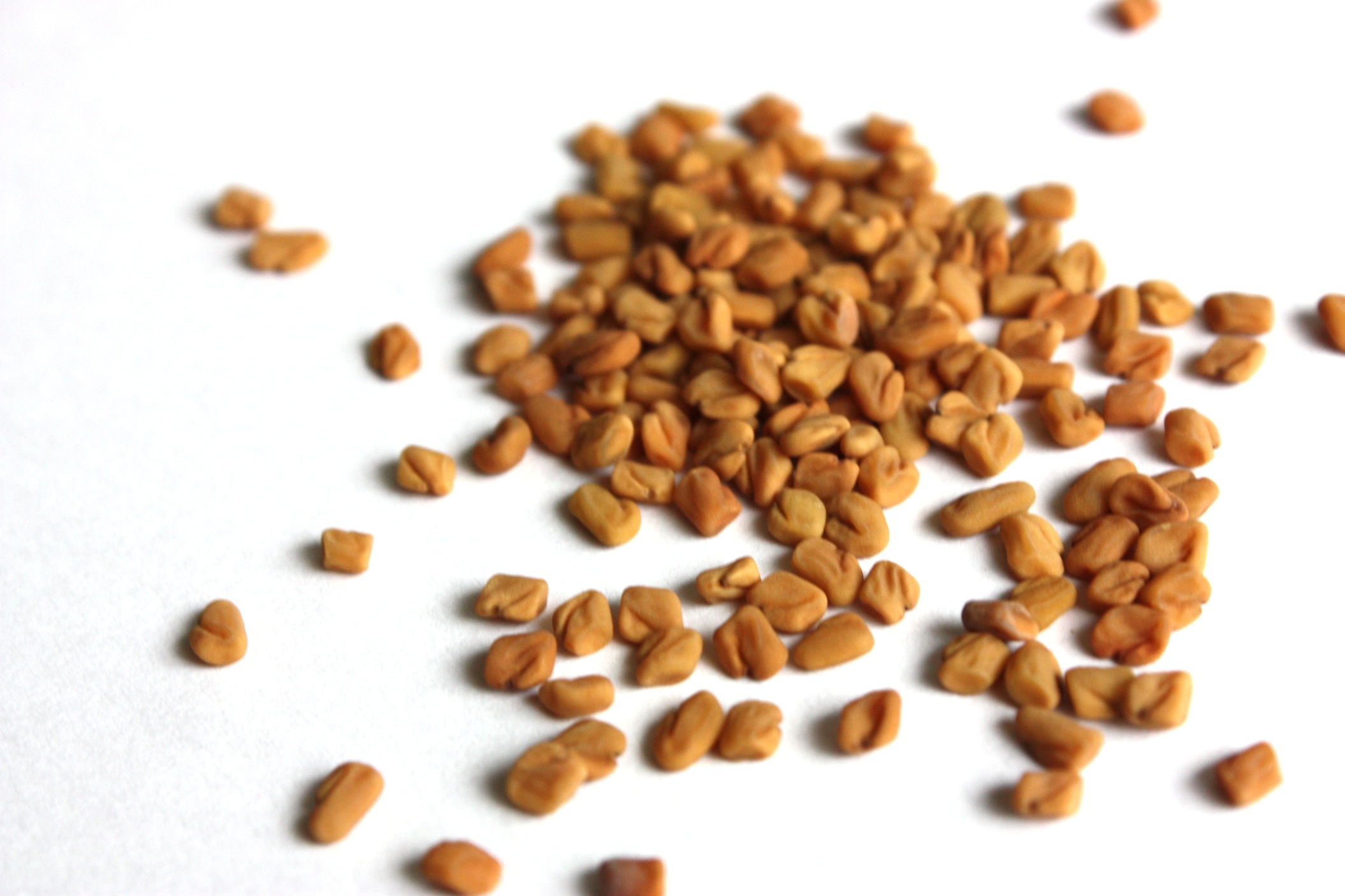 Fenugreek 